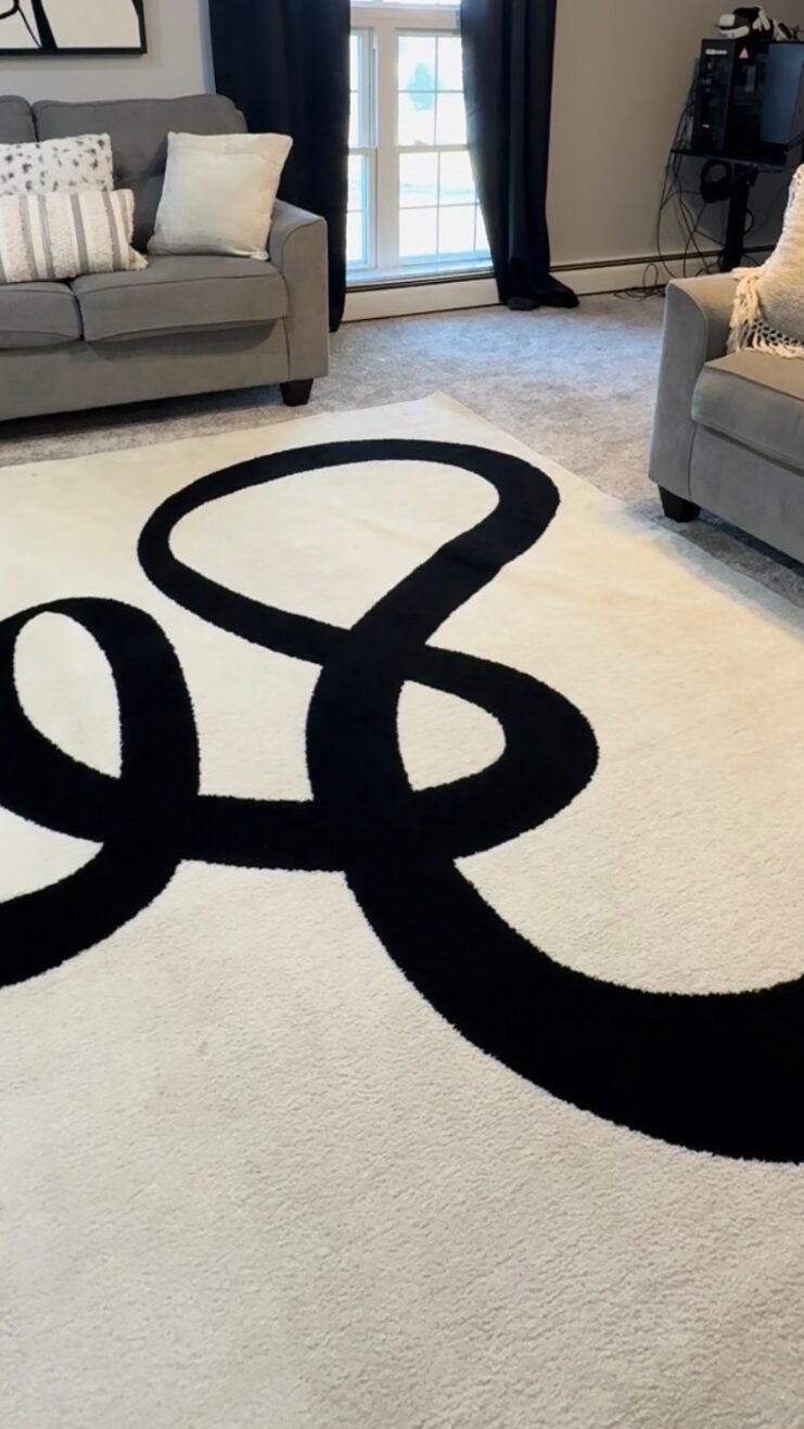 Wayfair Living Room Glow-Up (Budget Friendly) before living room setup with black and white wayfair rug neutral space